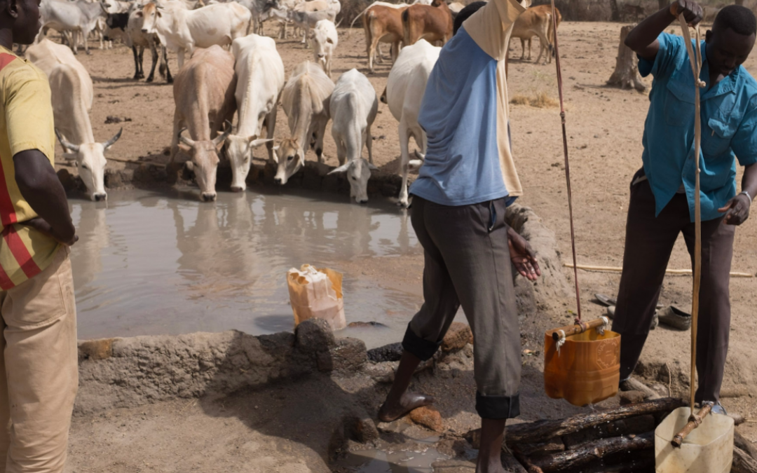 Mutual Aid in Sudan: the future of aid?